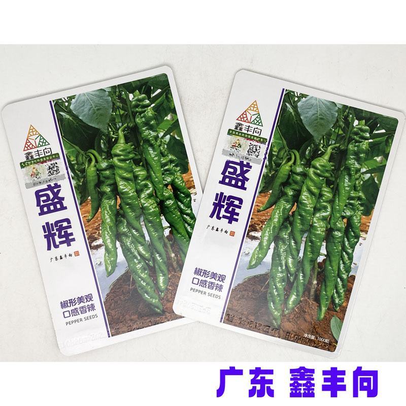 鑫丰向盛辉全螺旋螺丝椒种子高产高秧薄皮麻面螺丝椒种原装