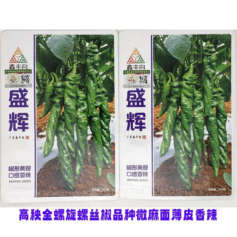 鑫丰向盛辉全螺旋螺丝椒种子高产高秧薄皮麻面螺丝椒种原装