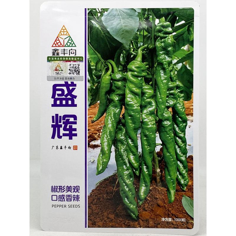 鑫丰向盛辉全螺旋螺丝椒种子高产高秧薄皮麻面螺丝椒种原装