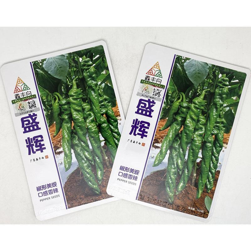 鑫丰向盛辉全螺旋螺丝椒种子高产高秧薄皮麻面螺丝椒种原装