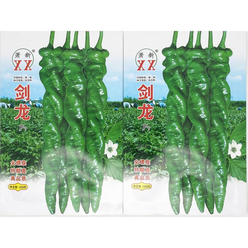 萧新剑龙全螺旋螺丝椒辣椒种子辣味浓亮绿长螺丝椒种原装