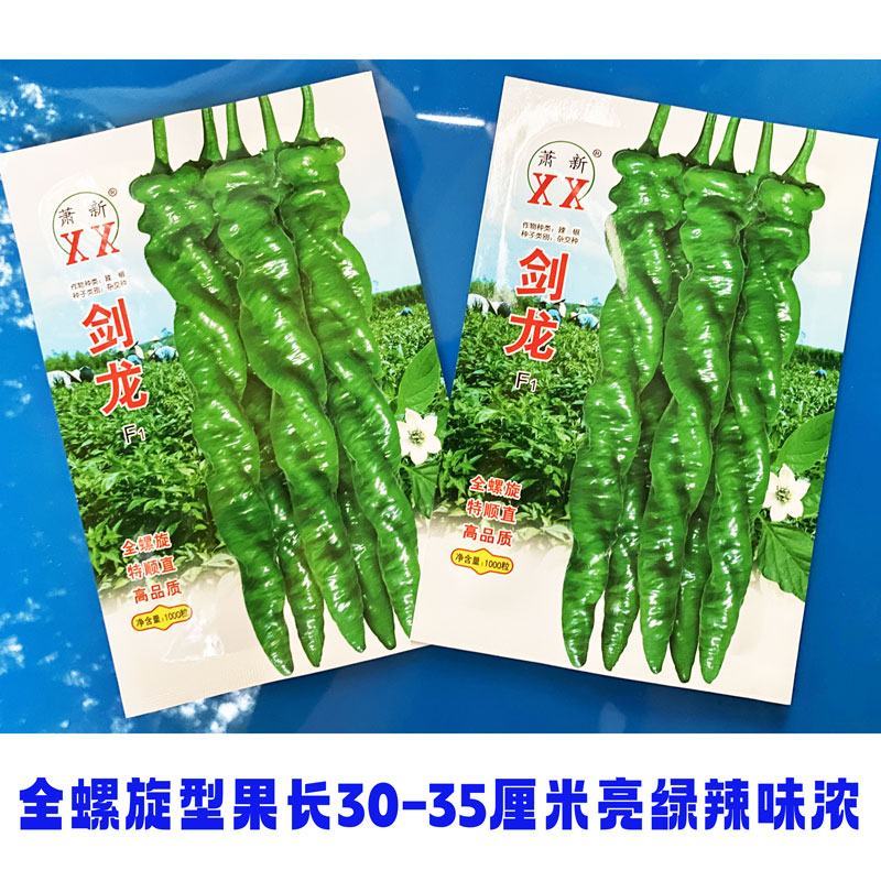 萧新剑龙全螺旋螺丝椒辣椒种子辣味浓亮绿长螺丝椒种原装