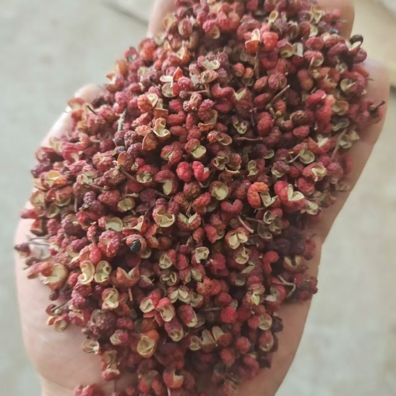 精选大红袍花椒，物美价廉！产地直供量大从优，欢迎咨询采购