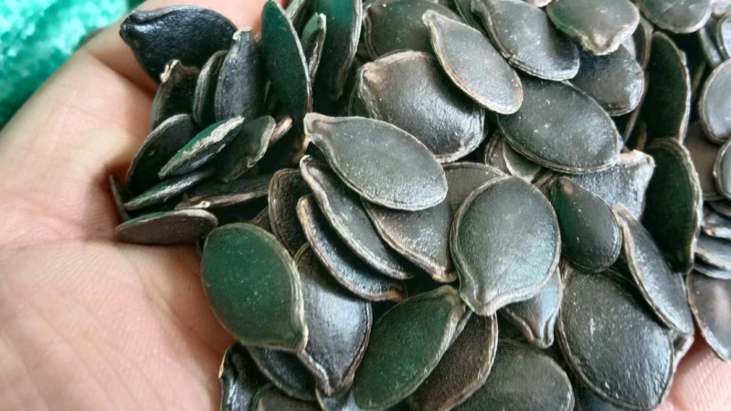 色选精品黑南瓜子（黑金刚）