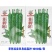 苏润951苏润953软皮羊角椒辣椒种子辣味浓早熟土辣椒种