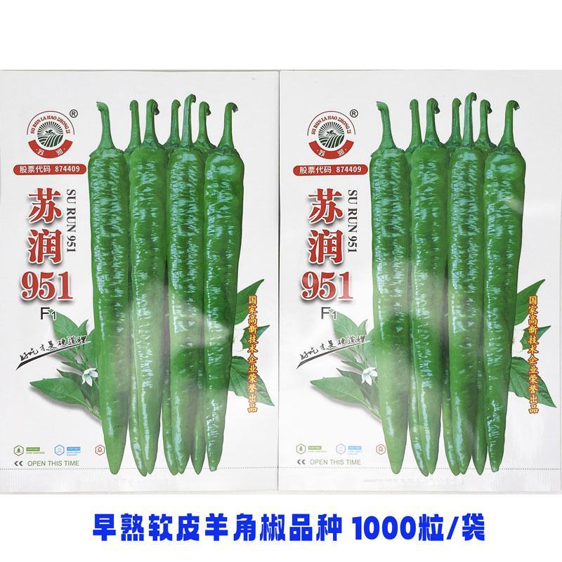 苏润951苏润953软皮羊角椒辣椒种子辣味浓早熟土辣椒种