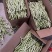保定顺平漏天白芸豆大量上市，有需要的老板可以联系我