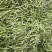 保定顺平漏天白芸豆大量上市，有需要的老板可以联系我