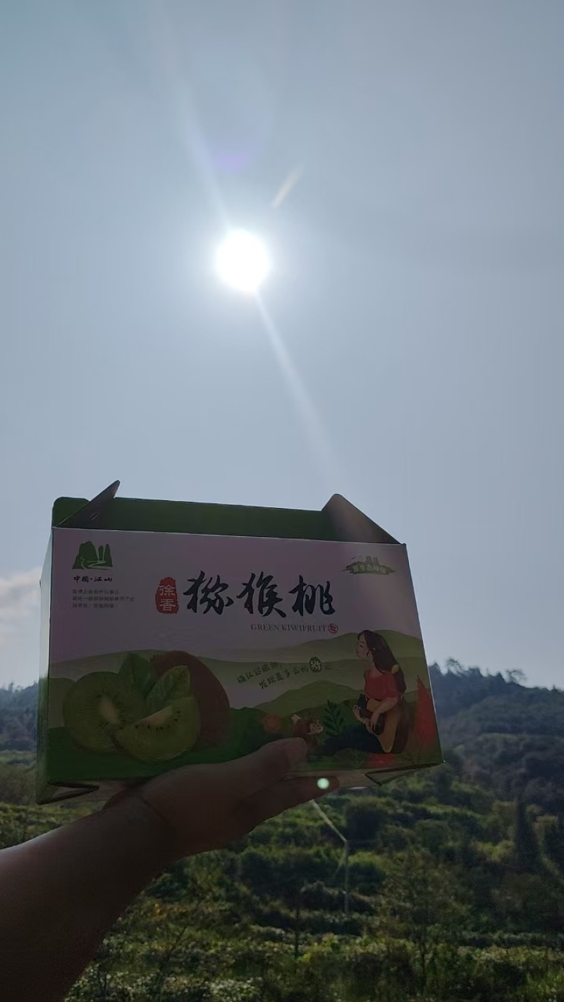 江山徐香猕猴桃