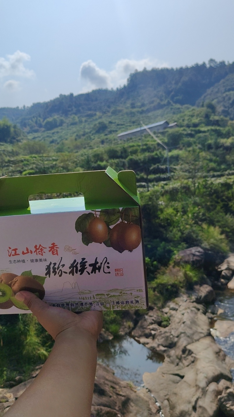 江山徐香猕猴桃