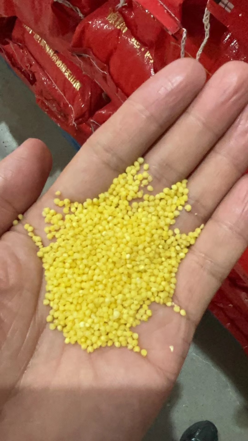 俄罗斯进口小米，糜子米，大黄米，质量分为两等，
