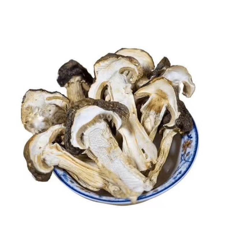 烘干赤松茸