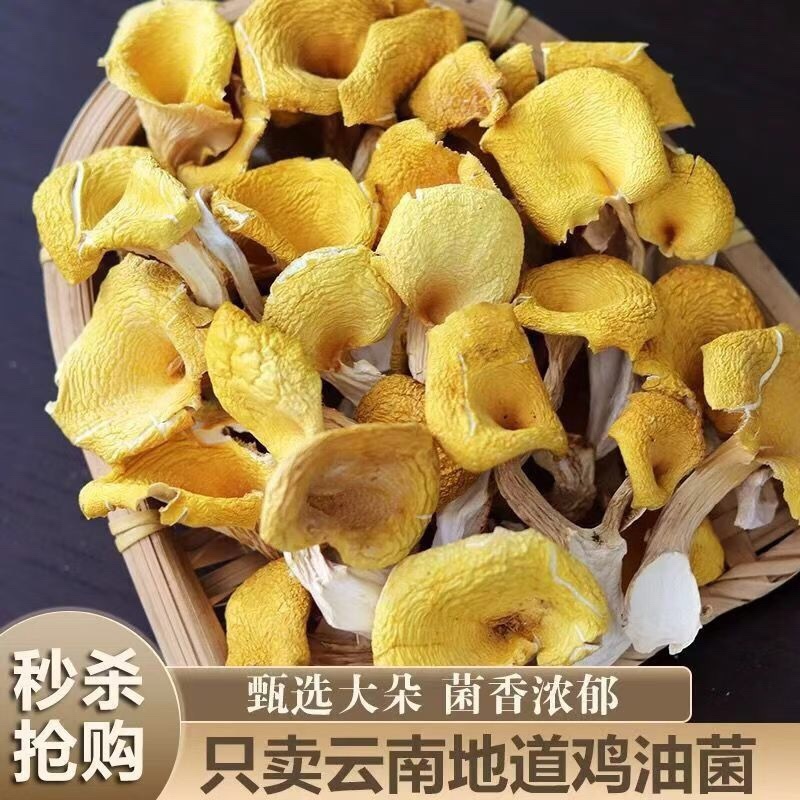 鸡油菌