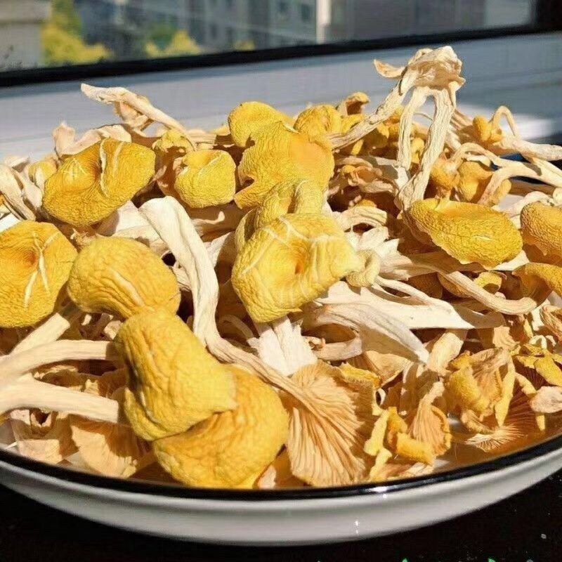 鸡油菌