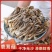 鹿茸菇
