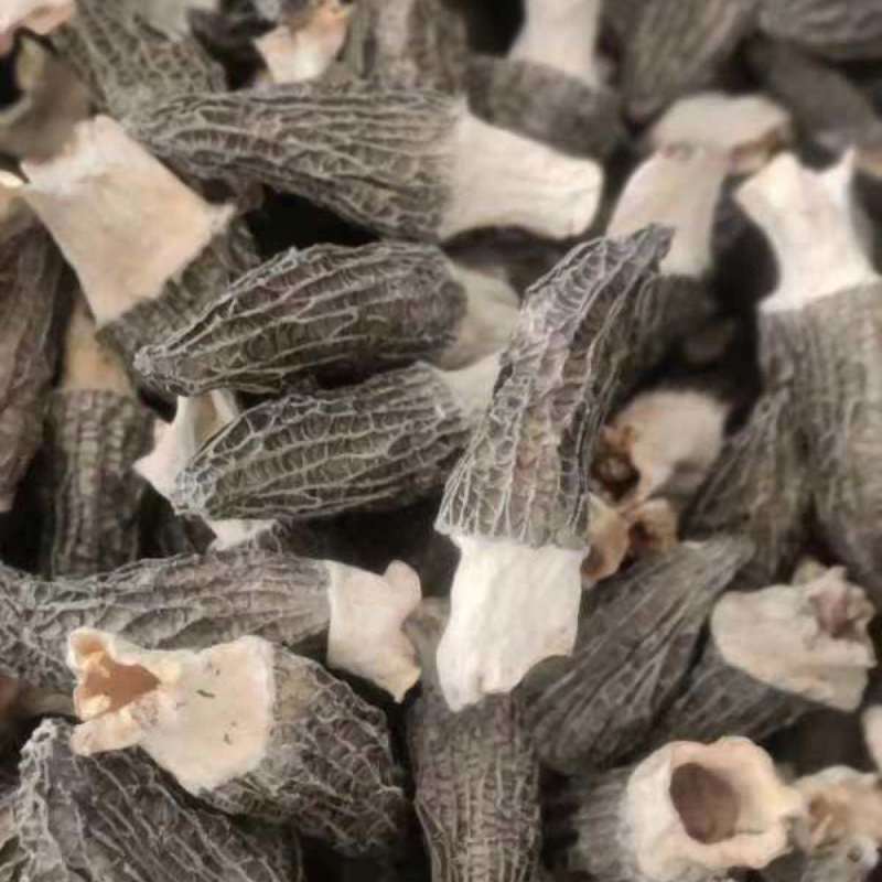 羊肚菌