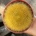 金雪光仙人球自根多肉植物仙人掌盆栽办公室桌面防辐射