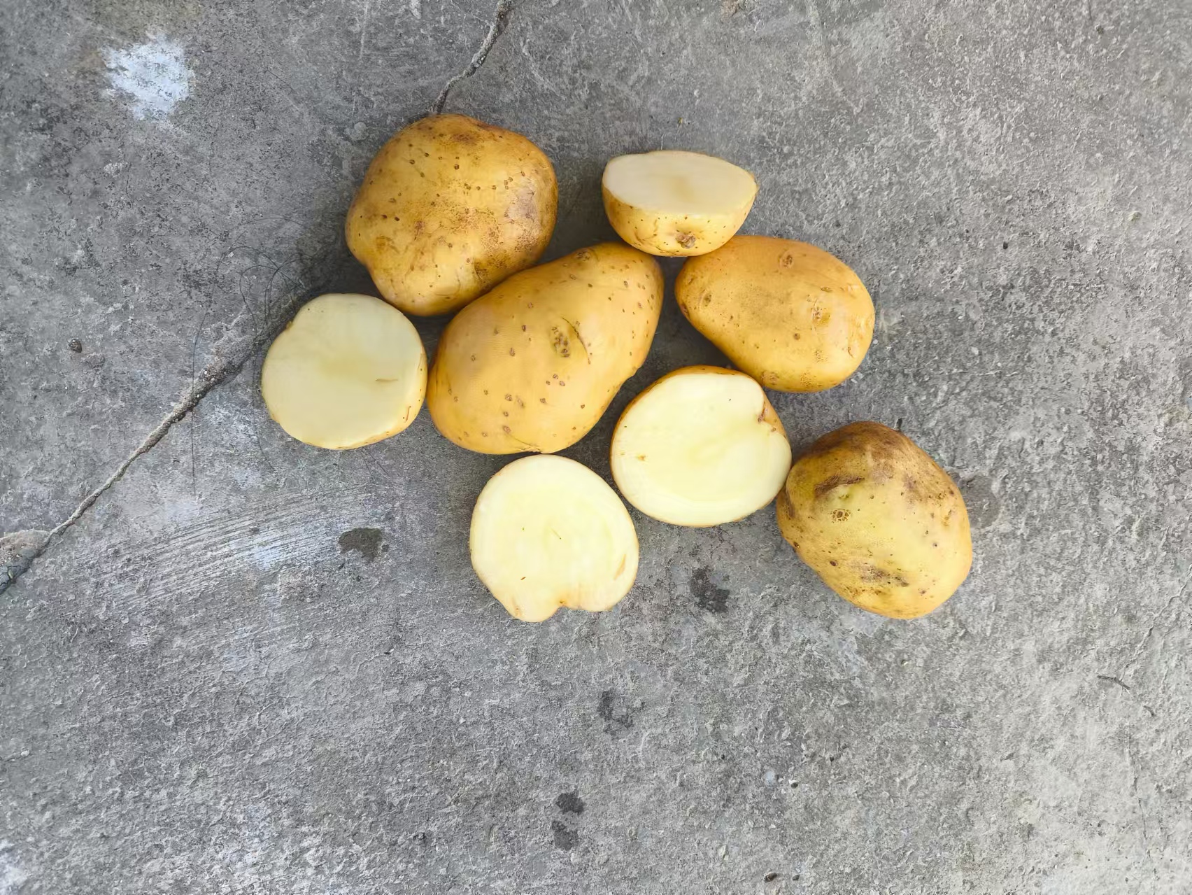 处理土豆丝