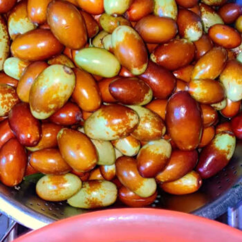 子弹头，马牙枣精品货，对接市场电商一件代发