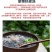 霞浦无沙优质紫菜，保质保量对接电商超市社区团购等