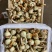 茨菇大量供应有需要的老板请联系