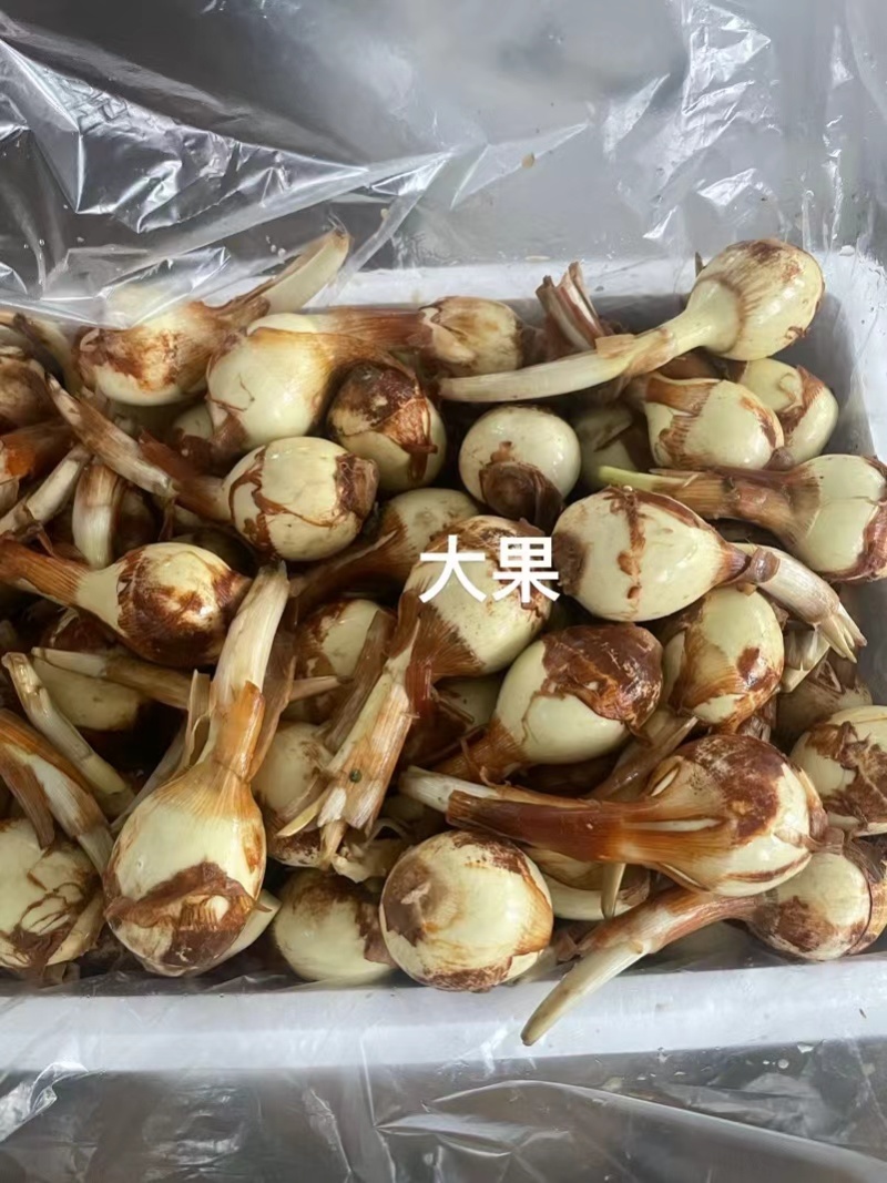 茨菇大量供应有需要的老板请联系