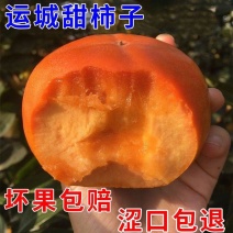 《畅销推荐》山西巧克力脆柿脆甜不涩量基地直发可一件代发