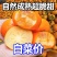 《畅销推荐》山西巧克力脆柿脆甜不涩量基地直发可一件代发