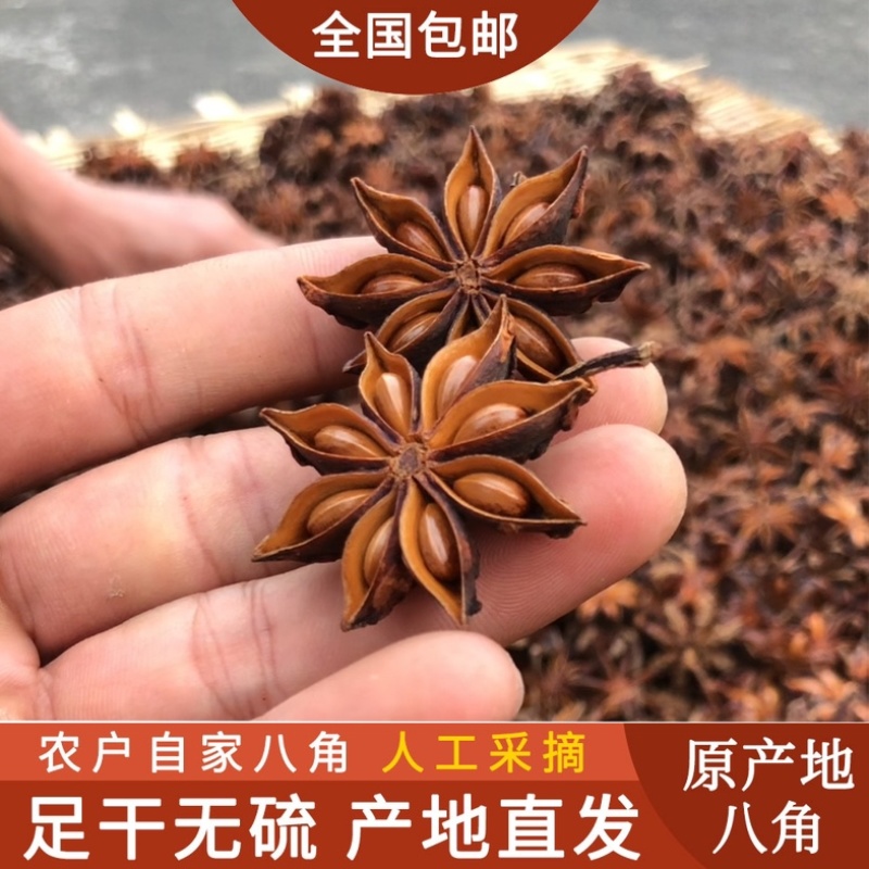 **（八心八箭）八角