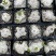惠比须笑大黑世界知名稀有块根多肉植物肉肉籽播实生易养盆栽