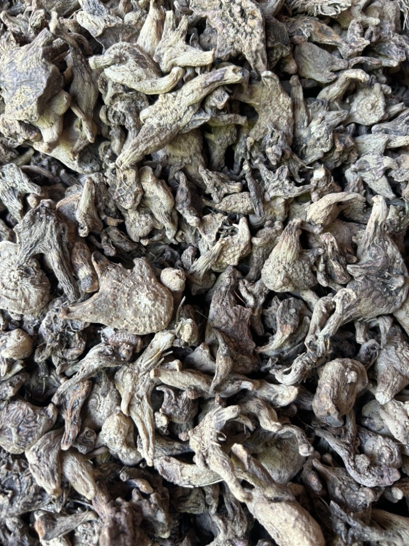 白芨个子