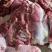 牛肉冻品，大块牛肉精修牛肉，清真牛肉，纯干牛肉，牛前牛后