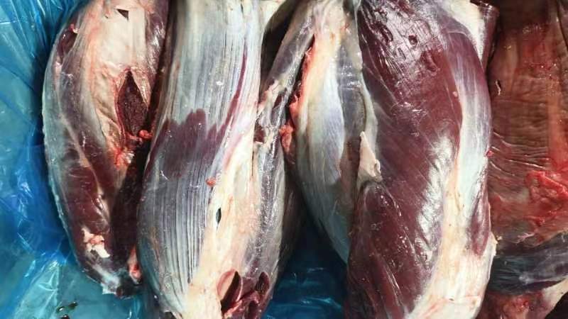 牛肉冻品，大块牛肉精修牛肉，清真牛肉，纯干牛肉，牛前牛后