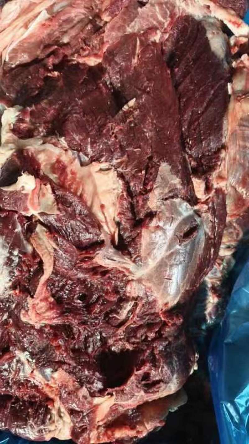 牛肉冻品，大块牛肉精修牛肉，清真牛肉，纯干牛肉，牛前牛后