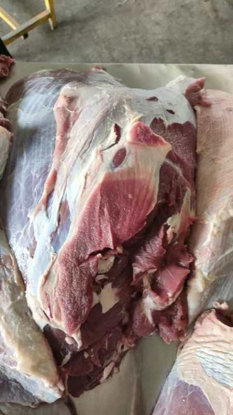 牛肉冻品，大块牛肉精修牛肉，清真牛肉，纯干牛肉，牛前牛后