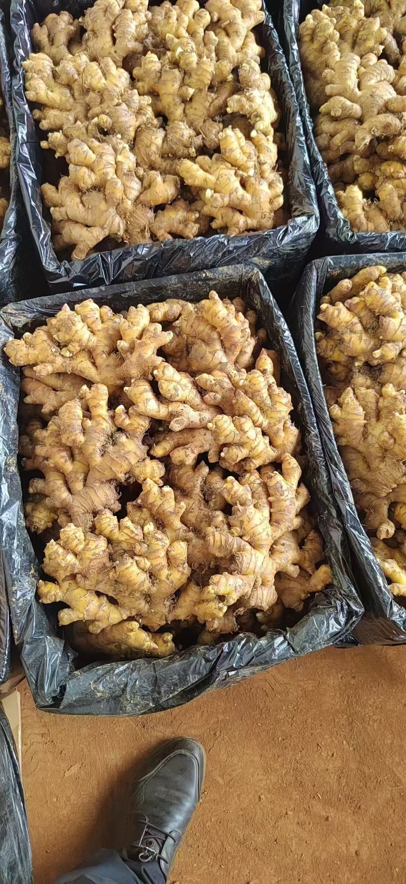 《中药厂/电商直供》云南红土小黄姜/全国代发，坏烂包赔