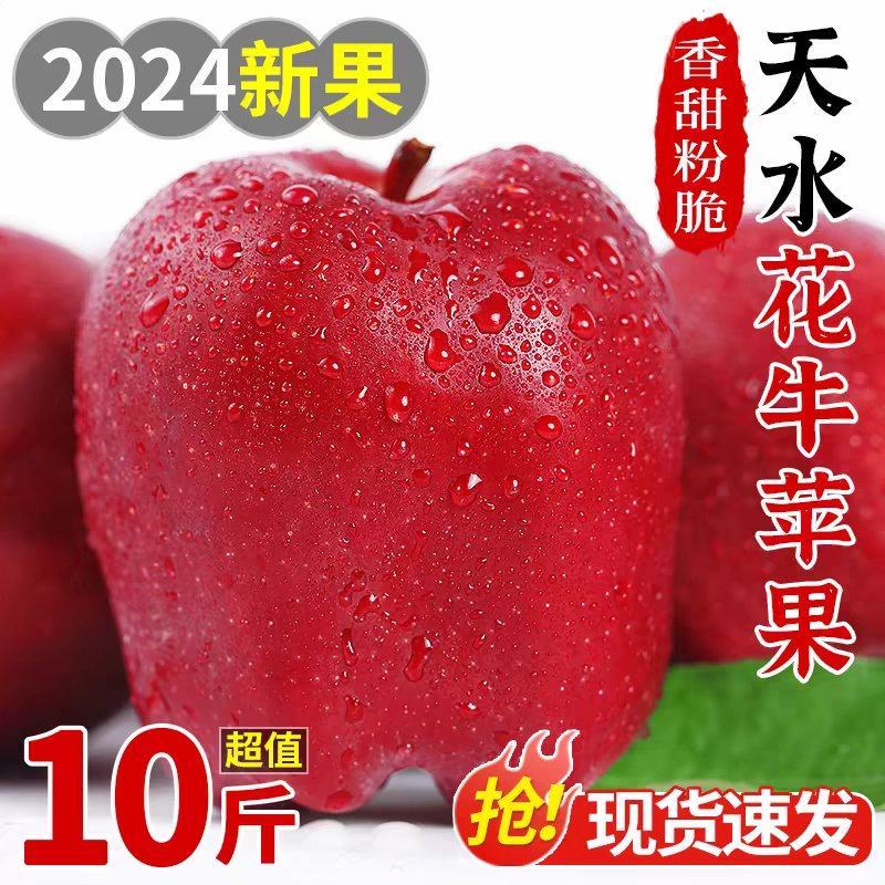 甘肃天水花牛苹果新鲜水果一件代发社区团购水果摊贩直供