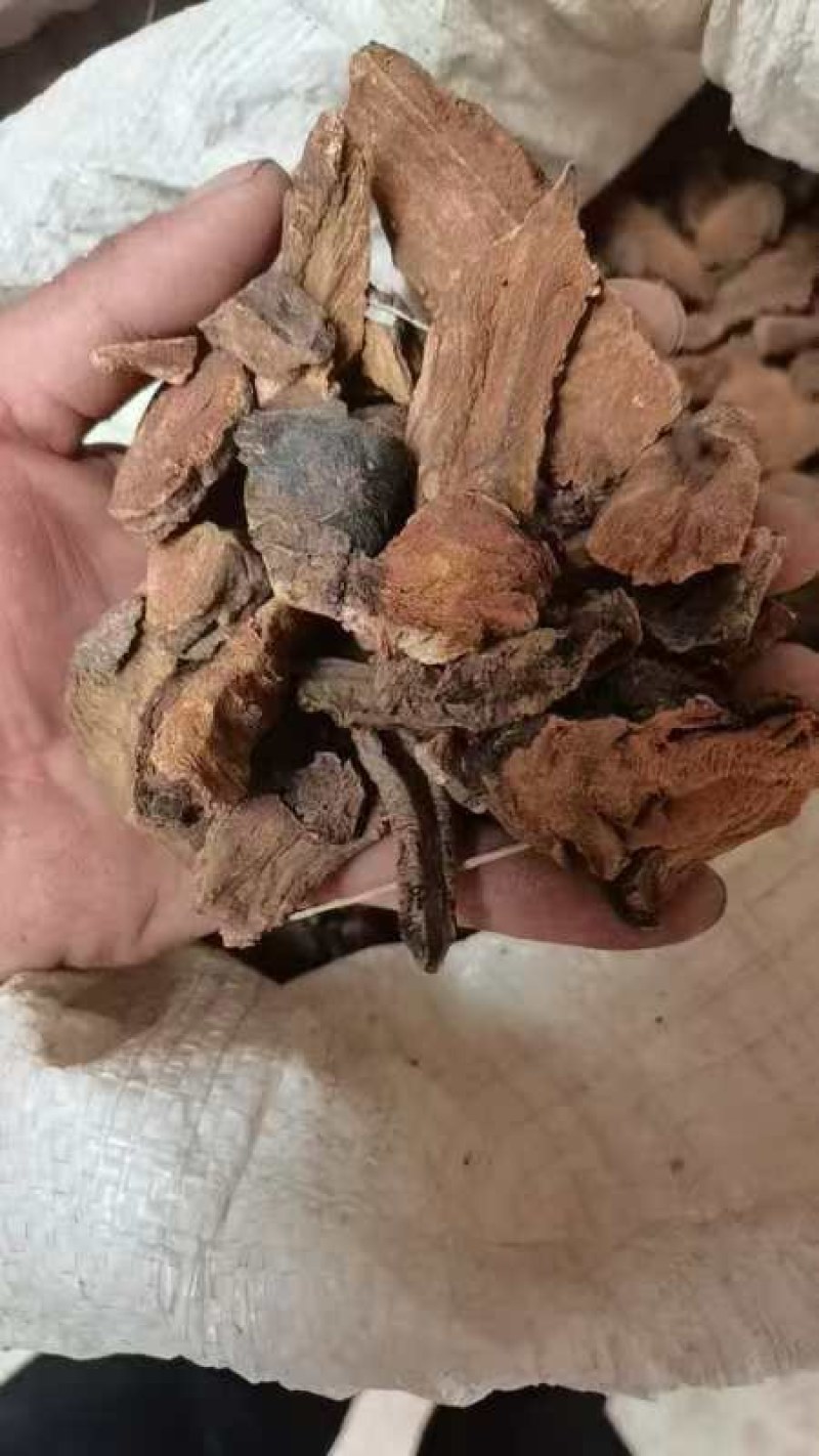 水根。药厂打粉用