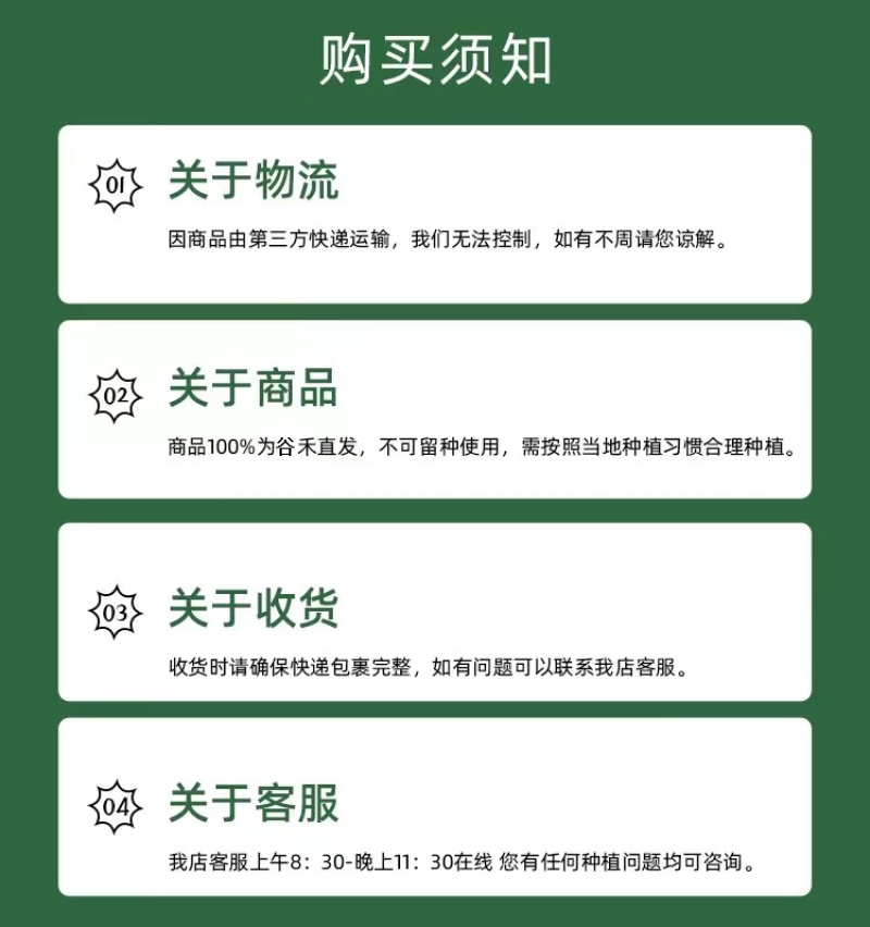 京绿3号F1芦笋种子商品性好品质优