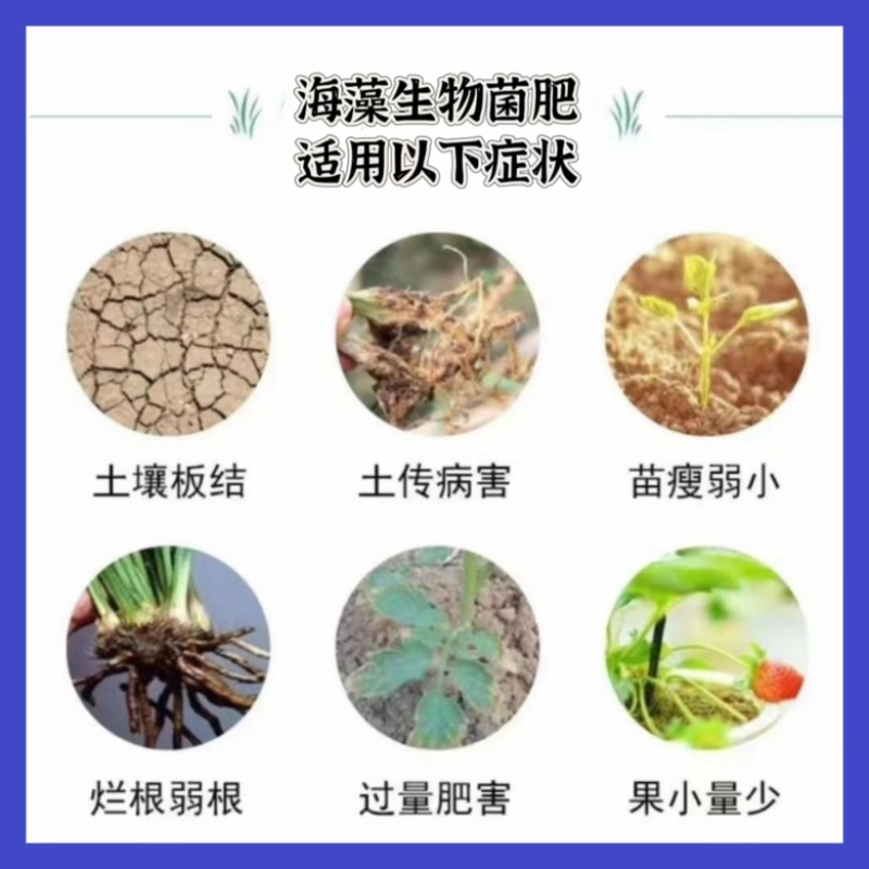 海藻生物菌肥厂家发货欢迎咨询下单
