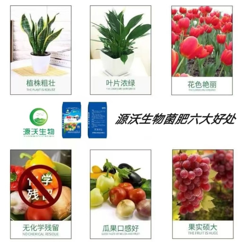 海藻生物菌肥厂家发货欢迎咨询下单