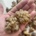 去皮洋姜干洋姜菊芋干脱皮洋姜电商供应链