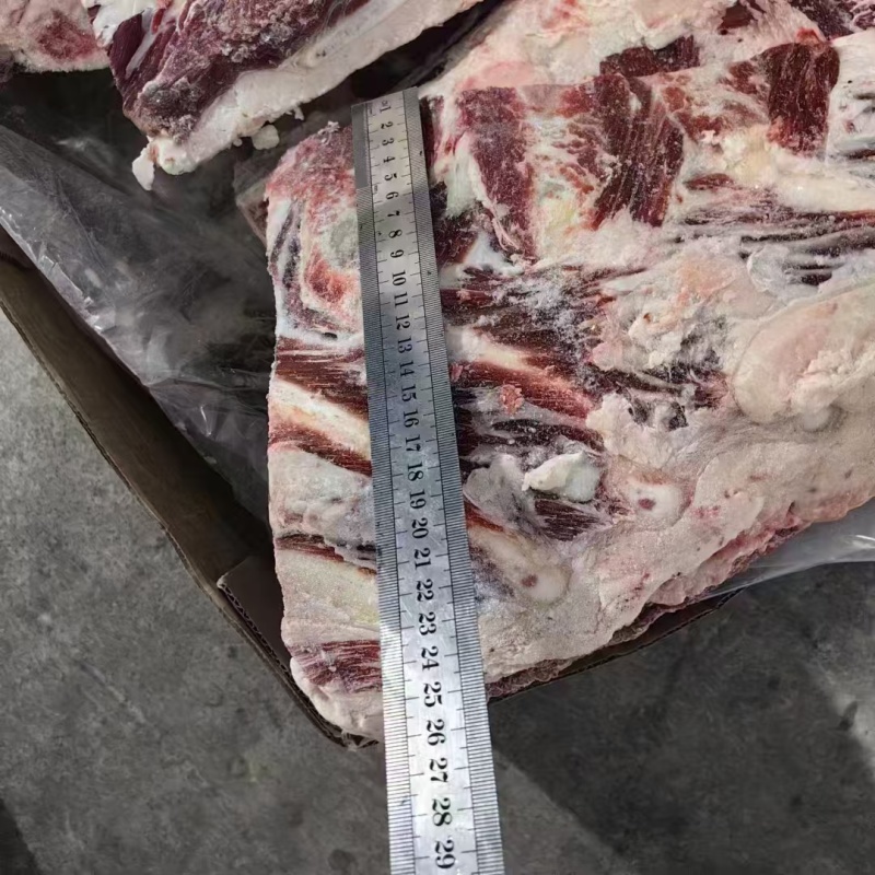 195牛胸骨