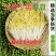 东北绿芽豆现货高出芽率