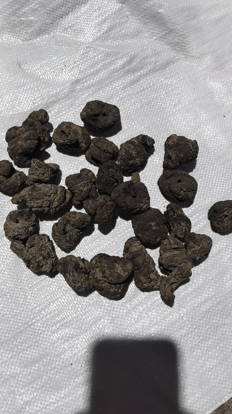 【精品】生地圆规格齐全