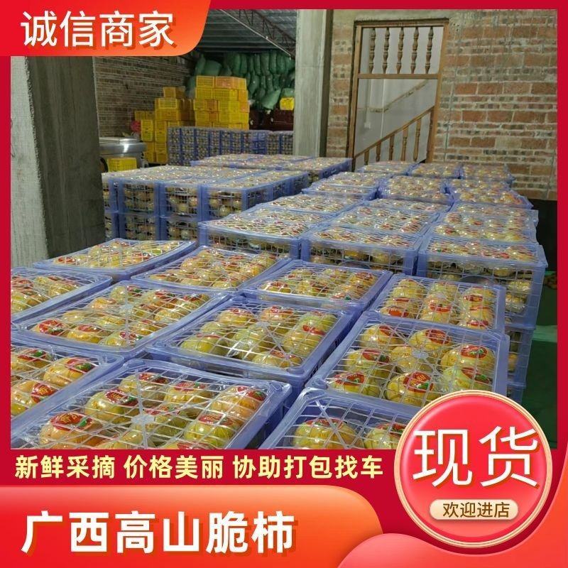 【正宗】广西恭城高山脆柿现摘现发规格齐全以质论价