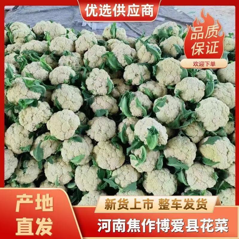 精品有机花菜，大量有货。质量好价格便宜，资源充足