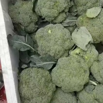 西兰花！产地直发！价格平稳！精品包装！电联视频！欢迎砸单