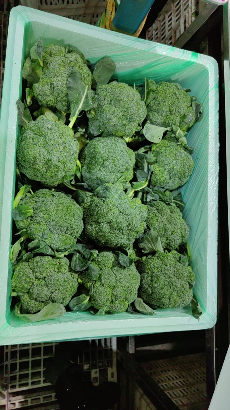 山东西蓝花，绿翡翠西蓝花，大量有货承接各大商超，市场等平台