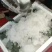 西兰花！产地直发！价格平稳！精品包装！电联视频！欢迎砸单